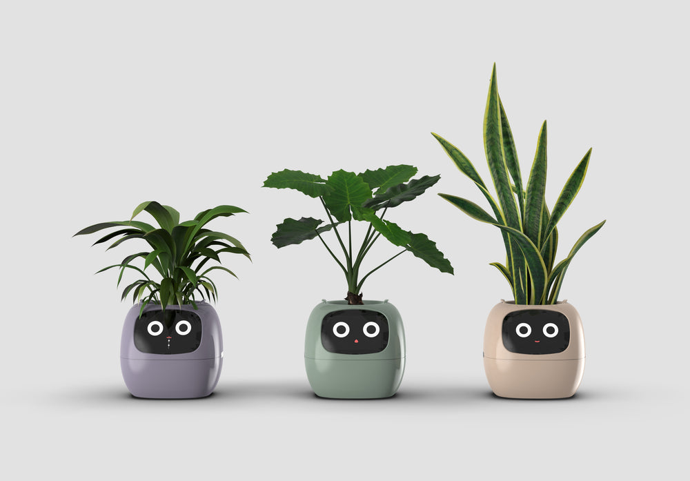 Ivy®, World's First AI Plant Companion