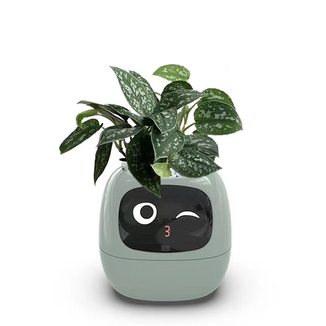 Ivy®, World's First AI Plant Companion