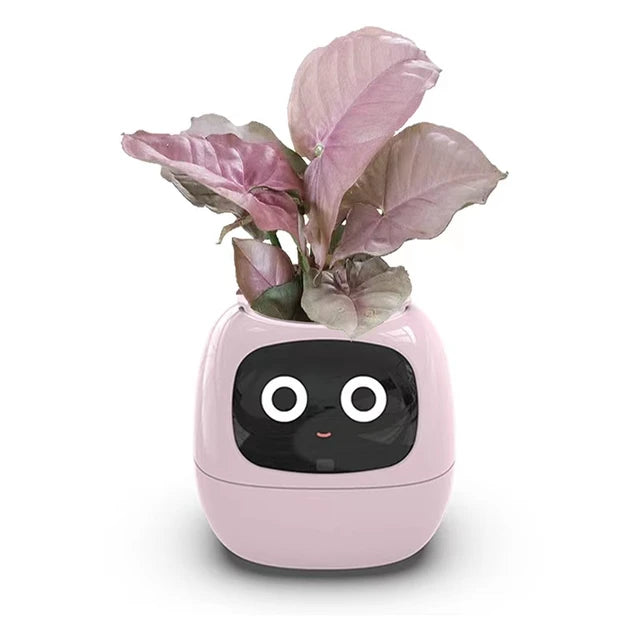 Ivy®, World's First AI Plant Companion