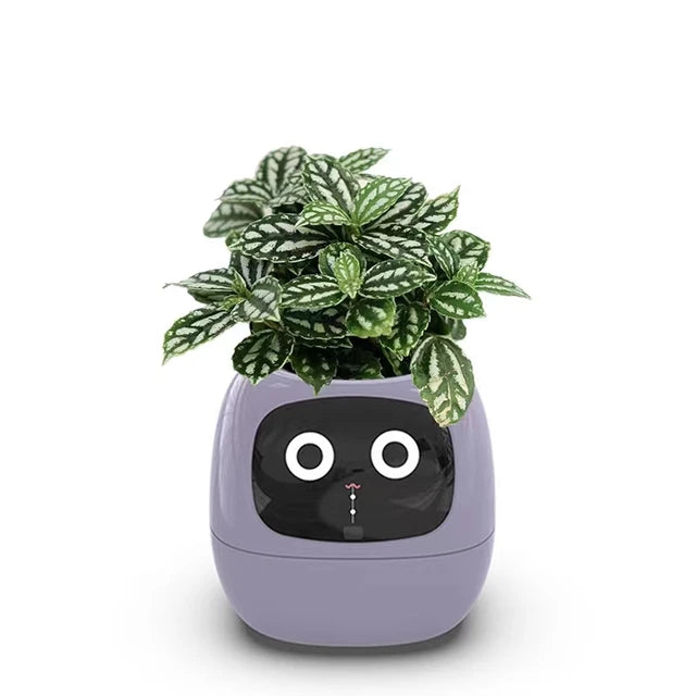 Ivy®, World's First AI Plant Companion