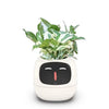 Ivy®, World's First AI Plant Companion