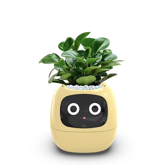 Ivy®, World's First AI Plant Companion