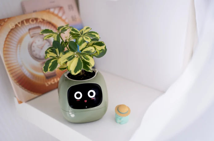 Ivy®, World's First AI Plant Companion